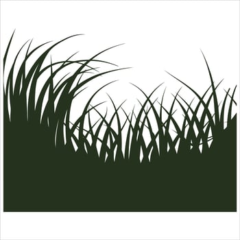 Stylized dark green grass blades against a clean white background vector