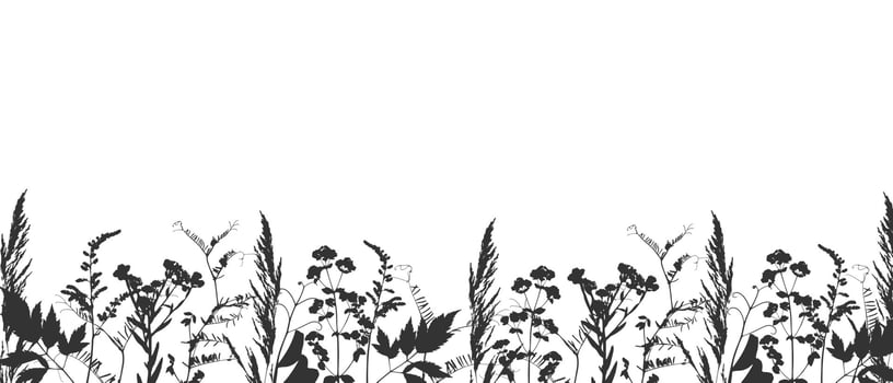 Border meadow flowers and grass, black ink silhouette on white. Herbal background. Herbarium. vector