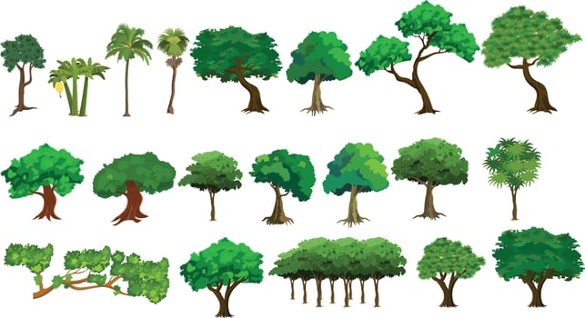 Cartoon Tree Set for Animation with Tropical, Palm, Forest and Jungle Trees. Game Asset or Nature Background Elements.Various trees and plants on a white background vector