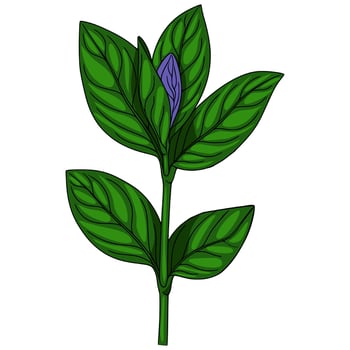 Detailed illustration of a stylized plant with vibrant green leaves and a closed purple bud, showcasing intricate leaf venation and a bold, graphic style. vector