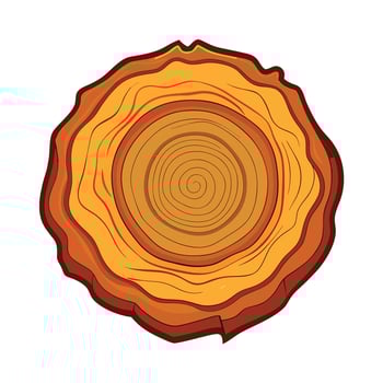 Cross-section of a tree trunk showing growth rings isolated on white background vector
