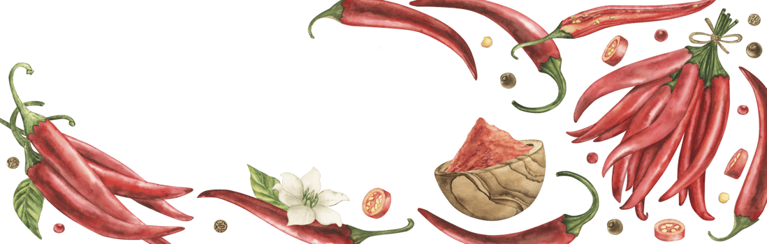 A banner with red hot chili pepper, ground paprika in a wooden plate, spices, pieces of pepper, green leaves, flowers. The watercolor illustration is hand-drawn in a botanical style. For culinary png