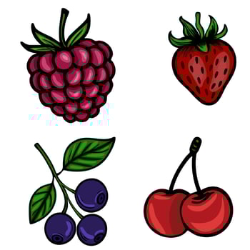 A colorful illustration featuring four types of berries a raspberry, a strawberry, a cluster of blueberries, and a pair of cherries. Each berry is depicted with vibrant colors vector