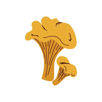 Wild Chanterelle Mushroom Pair in Flat Design on a white background vector