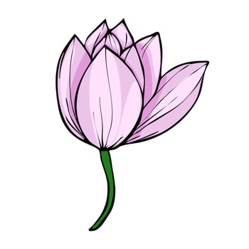 Elegant illustration of a single light pink magnolia flower with a dark green stem, showcasing a stylized hand-drawn design with bold outlines and subtle shading. vector