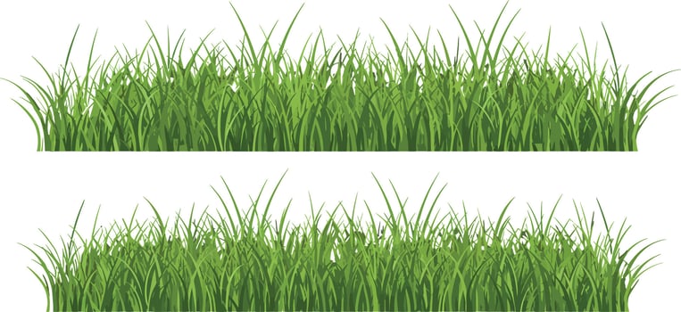 Green grass blades border illustration with natural fresh appearance horizontal layout vector