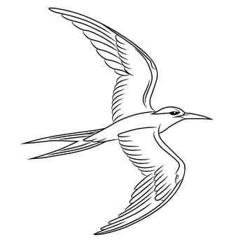 Line art drawing of a sea dove in flight with editable strokes vector