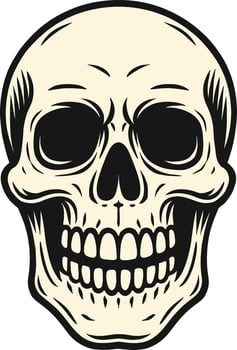 Smiling Human Skull Illustration vector