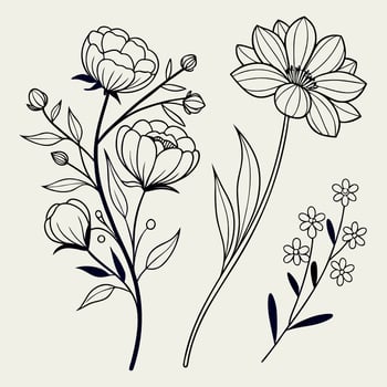 Elegant botanical line art featuring a collection of diverse hand drawn flower outlines and leaves perfect for natural design projects vector