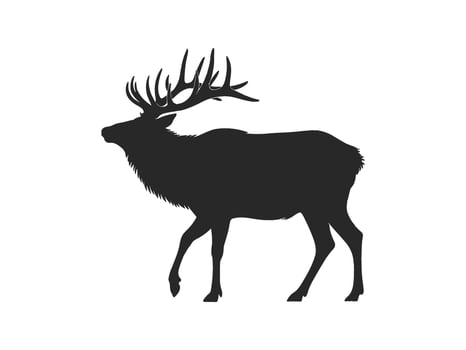 Elk silhouette on white background vector