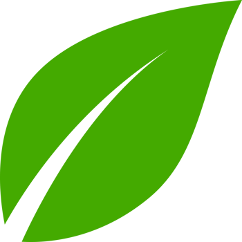 Green leave leaf tree png