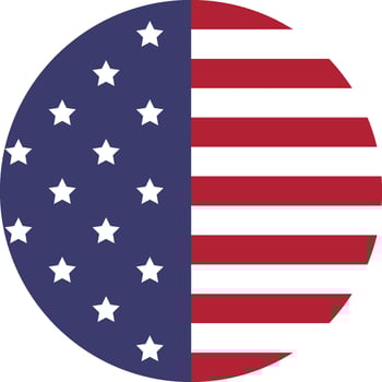 American Flag Icon in circle vector
