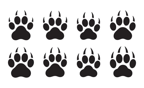 Collection of black animal paw prints with sharp claws on white background vector