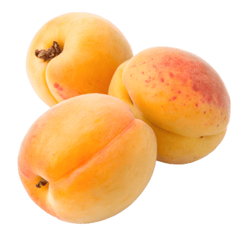 Three ripe apricots with blush red spots isolated on transparent background png