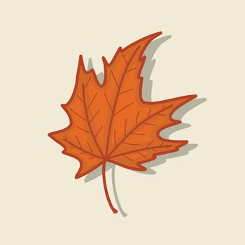 Autumn leaves of orange maple leaf with outline illustration fall season isolated vector