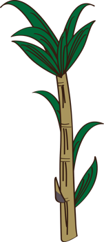 Sugar cane cartoon decoration png