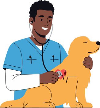 Veterinarian in Scrubs Examining Happy Golden Retriever with Stethoscope in Clinic Setting png