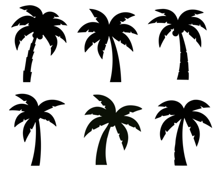 Silhouettes of Tropical Trees Against a Sunset Sky Ideal for Relaxing Vacation Concepts in Nature and Travel Photography png