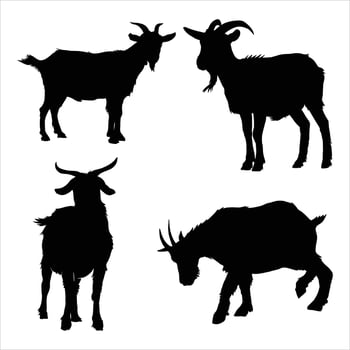 Set of Goat Silhouette Illustration Isolated on White Background vector