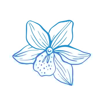 Hand drawn summer tropical flower, whimsical doodle illustration vector