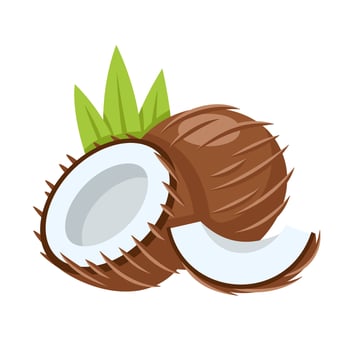 Coconut icon isolated on white background. Illustration in Cartoon style vector