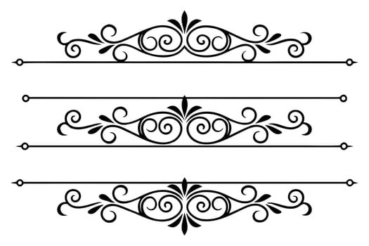 Ornate black decorative flourishes swirls vector