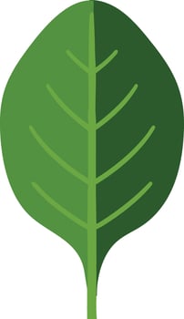 Green leaf illustration with simple design and natural shape for environmental and botanical projects vector