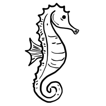 Seahorse Hand drawn line art sketch doodle fisherman aesthetic coastal nautical illustration vector
