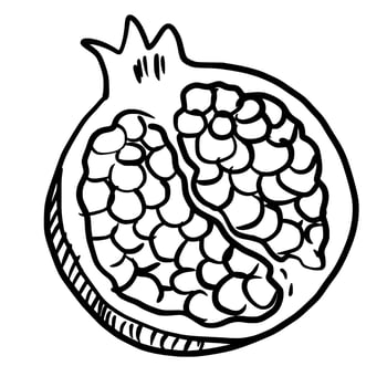 Pomegranate Hand drawn line art sketch doodle fisherman aesthetic coastal nautical illustration vector