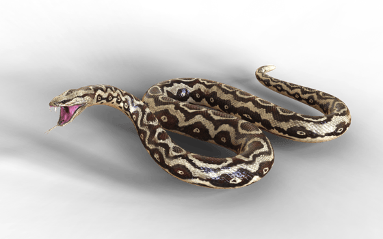 A fierce reptile guards its ground with eyes locked and jaws wide. png