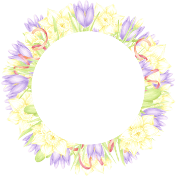 Hand drawn watercolor daffodil and crocus with green leaves and red ribbon wreath frame border isolated on no background. Can be used for postcard, invitation, scrapbook and other printed products png