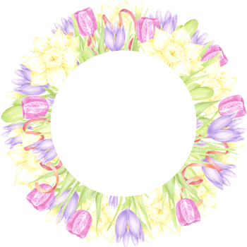 Hand drawn watercolor daffodil tulip and crocus with red ribbon wreath frame border on white background. Can be used for postcard, invitation, scrapbook and other printed products png