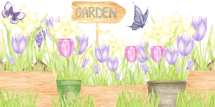 Hand drawn watercolor blooming flowers in pots and boxes seamless border isolated no background. Can be used for textile, postcard, scrapbook and other printed products png