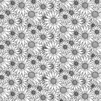 Sunflowers seamless pattern. graphic line illustration. Botanical background. Cottage core illustration. Ideal for cards, logo, decoration, spring and summer design. vector