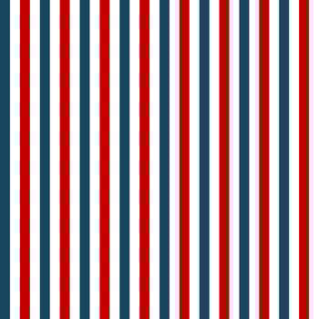Seamless pattern with red and blue stripes vector