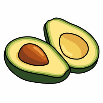 Avocado Halves Illustration vector