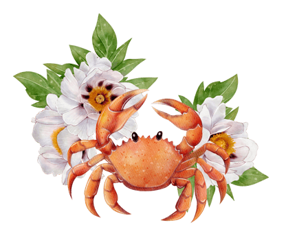 Hand-drawn watercolor illustration of an orange crab surrounded by white blooming flowers and green leaves. Isolated on white background. Suitable for cards, packaging, childrens design, summer decor. png