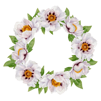 White peony flowers with green leaves in a round wreath. Hand-drawn illustration. Watercolor artwork on white background. Suitable for wedding cards, invitations, packaging, decor, and branding design png