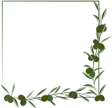 green olive creeping on square shape frame background png
