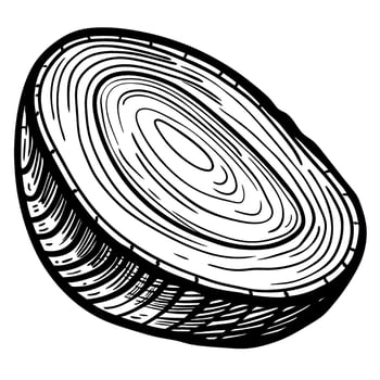 Hand drawn onion cross section, detailed monochrome vegetable slice illustration with visible growth rings vector
