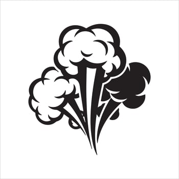 Collection of decorative black and white graphic elements and borders vector