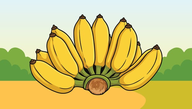 Banana, Pchum Ben Day vector