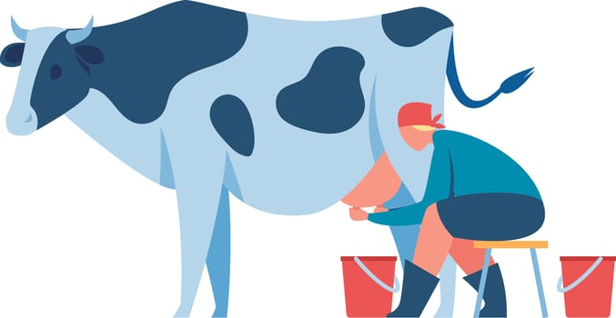 Farmer milking cow sitting on wooden stool with two red buckets, milkmaid working on farm, dairy products production, healthy nutrition concept, organic food illustration vector
