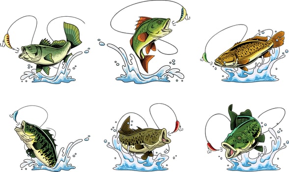 fish jumping out of water vector