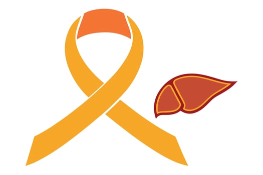 Orange ribbon and liver vector