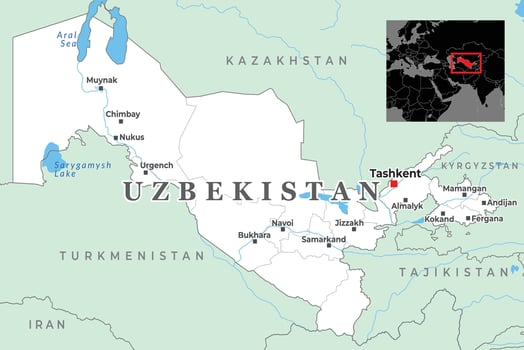 Map of Uzbekistan showing major cities, nearby borders, and geographic features vector