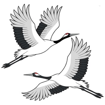 Two graceful red crowned cranes soaring through the sky in a beautiful minimalist illustration vector