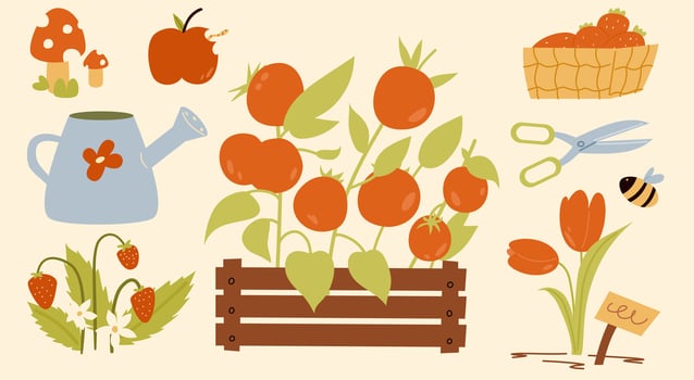 Illustration of garden seedlings and crops. The concept of gardening. vector