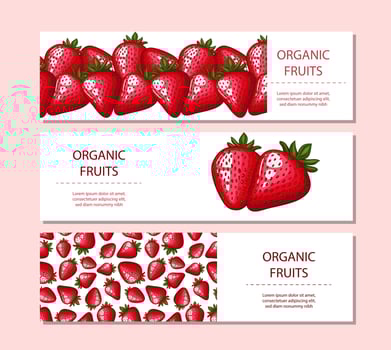Fresh organic strawberries displayed vector
