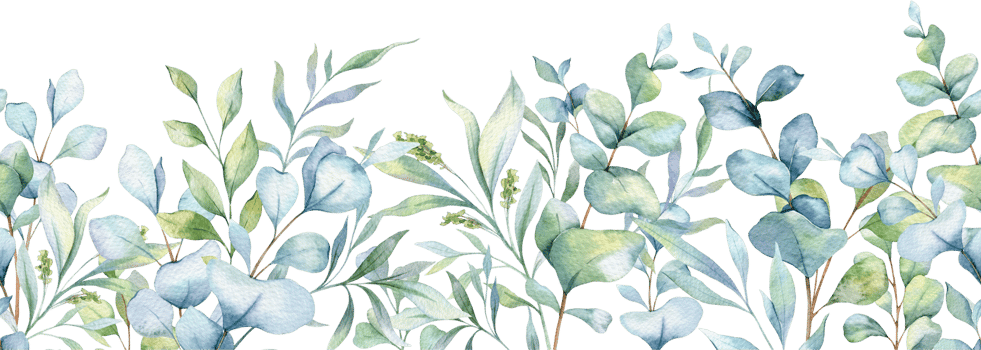 Eucalyptus Greenery Watercolor. Botanical Seamless Horizontal Background. Eucalyptus Watercolor Illustration. Eucalyptus Branches Design. Greenery garland seamless. Eucalyptus Border Frame png
